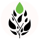 پراپ فرم ترید برای زندگی